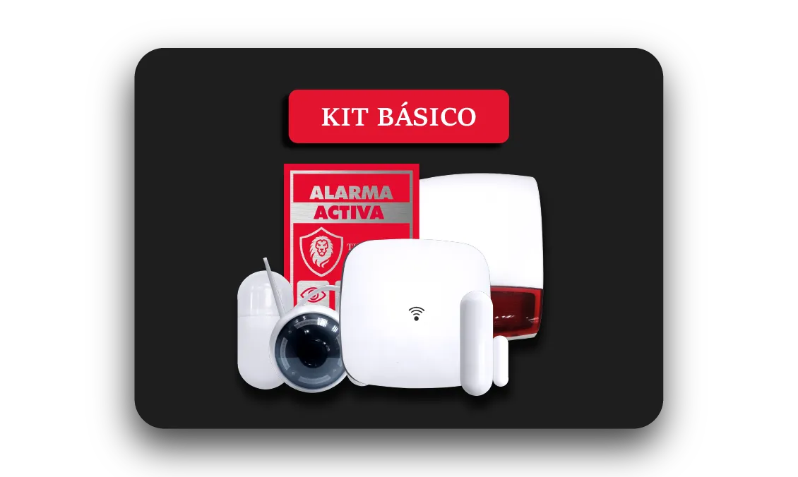 Kit básico de alarma The Protector