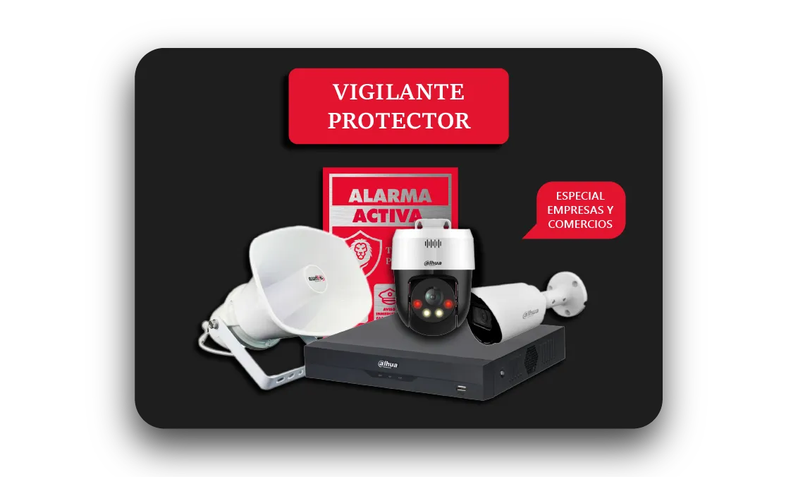Kit Vigilante Protector con cámaras